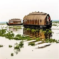 Kerala_BackWater.webp