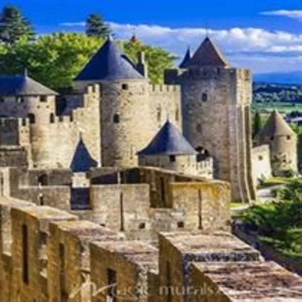 Carcassonne.webp