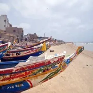 senegal.webp